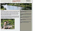 Desktop Screenshot of chalksprings.com